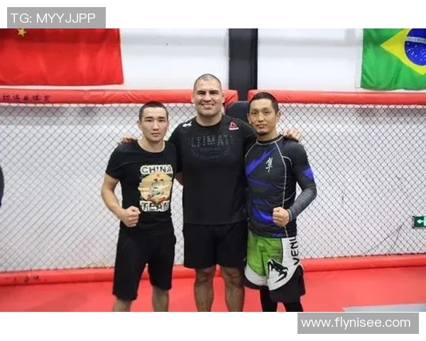 UFC凯恩与锤子激战在即谁将成为拳坛新王者的焦点对决